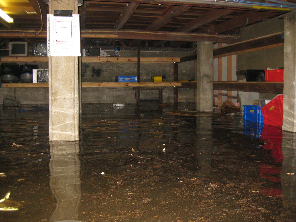 Basement Water Damage Cleanup in Bowie, MD, 20715, Prince George's County (6661)