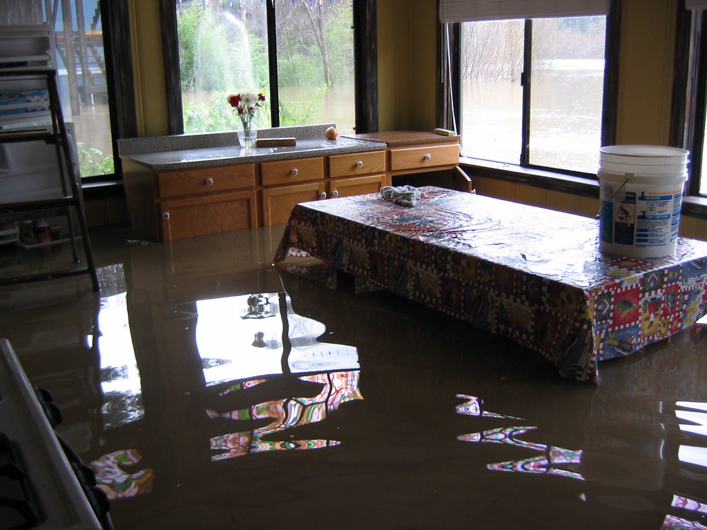Flood Cleanup in Aquasco, MD, 20608, Prince George's County (8281)