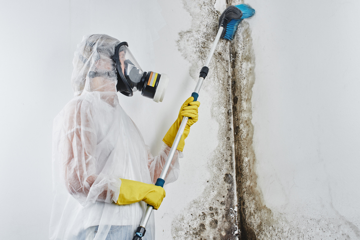 Mold Cleanup in Croom, MD, 20613, Prince George's County (9699)