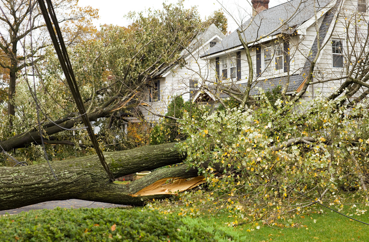 Wind Damage Repairs in Temple Hills, MD, 20744, Prince George's County (7159)